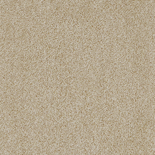 York Elite Sand Dune 32 Carpet