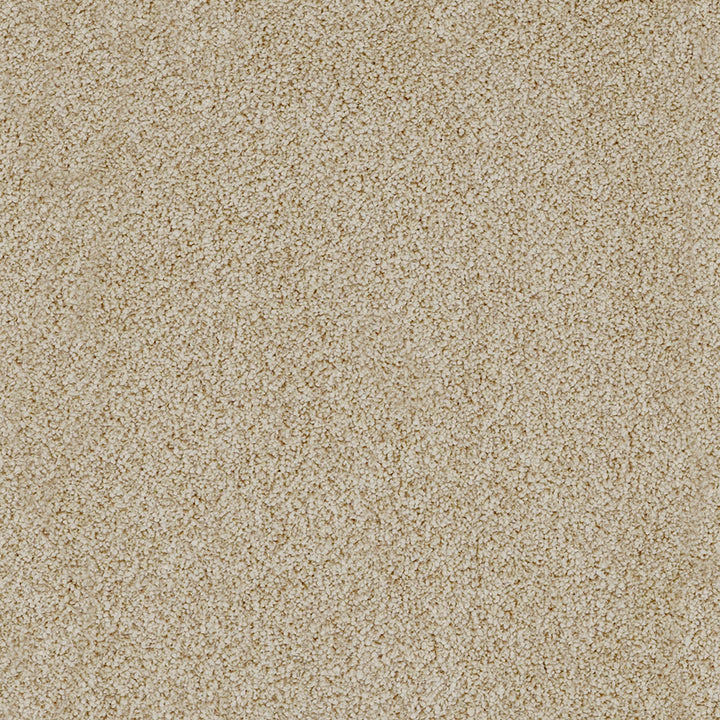 York Elite Sand Dune 32 Carpet