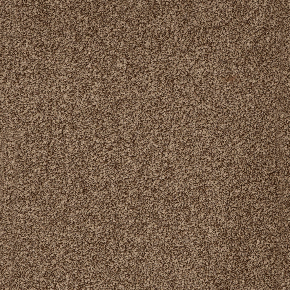 York Elite Latte Beige 40 Carpet