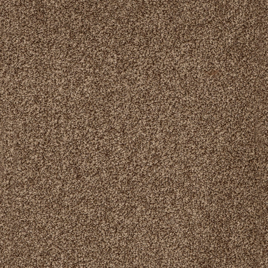 York Elite Latte Beige 40 Carpet