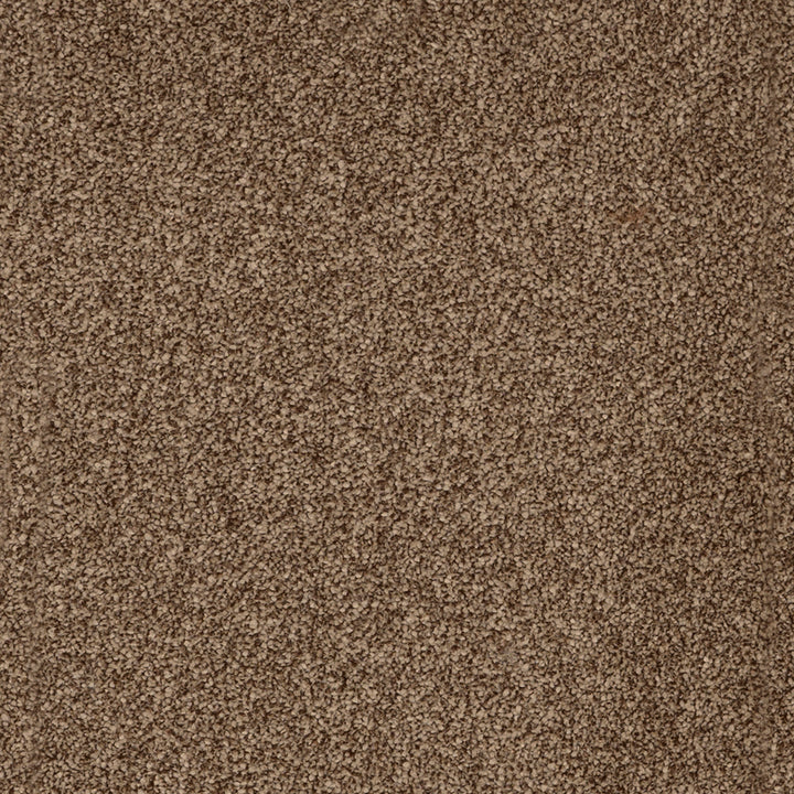 York Elite Latte Beige 40 Carpet