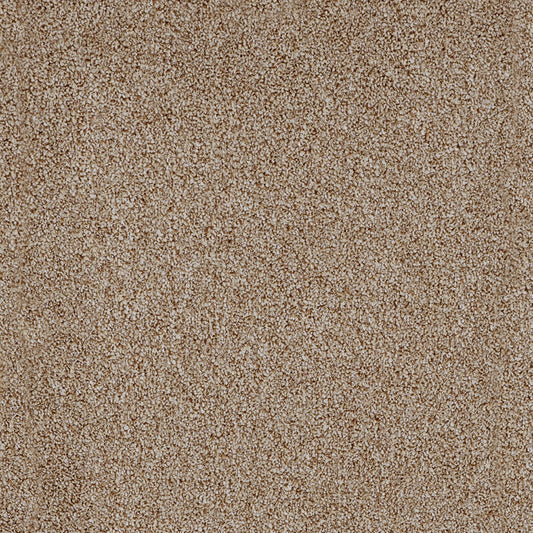 York Elite Linen 42 Carpet