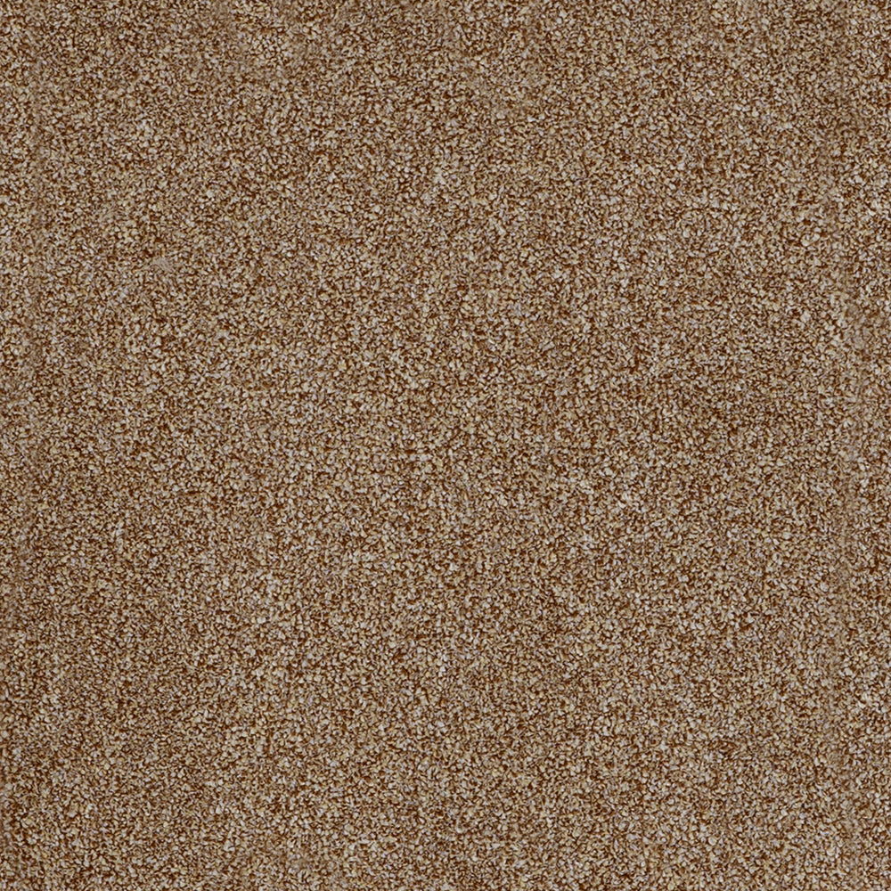 York Elite Toasted Coconut 46 Carpet