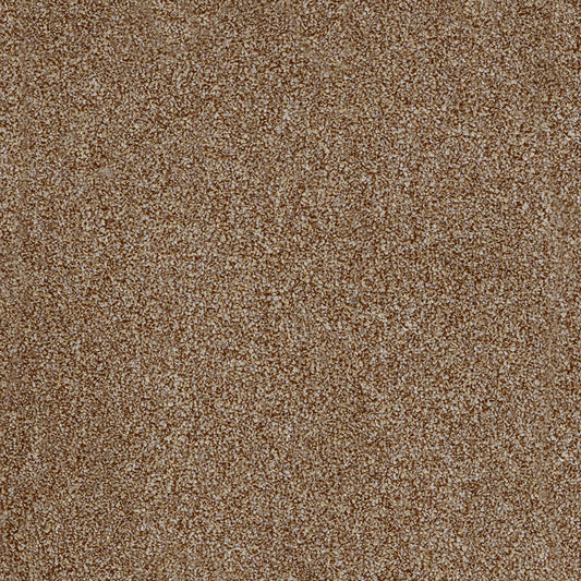 York Elite Toasted Coconut 46 Carpet