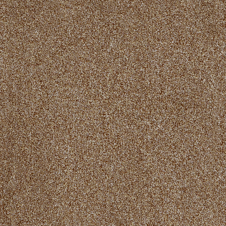 York Elite Toasted Coconut 46 Carpet