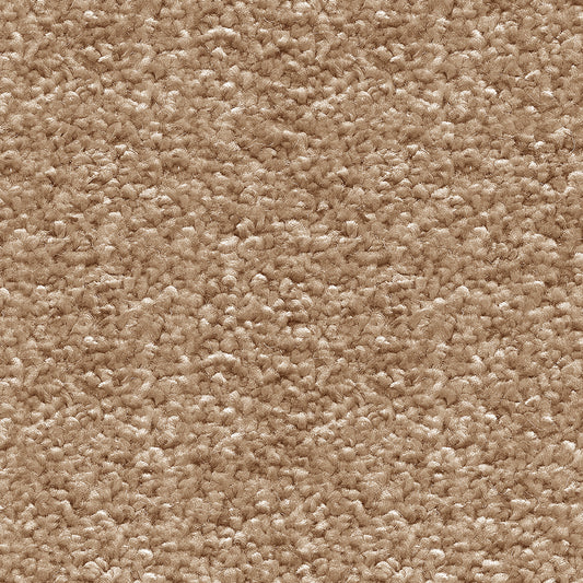 Orion Sandy Beach 32 Carpet
