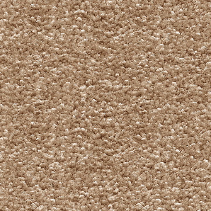 Orion Sandy Beach 32 Carpet
