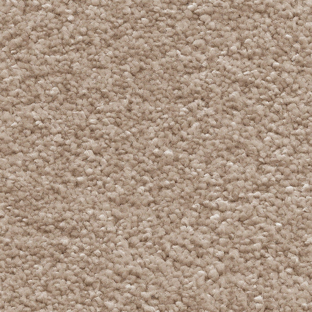 Orion Suede 37 Carpet