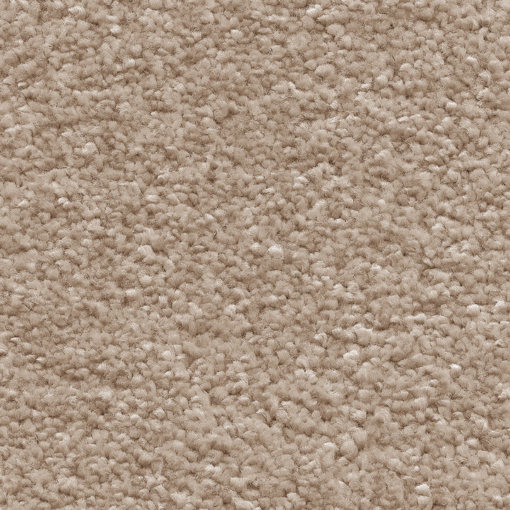 Orion Suede 37 Carpet