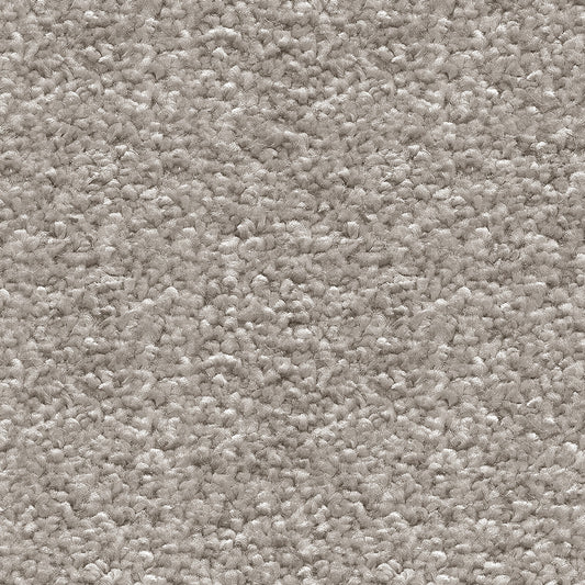 Orion Silver Chalice 90 Carpet