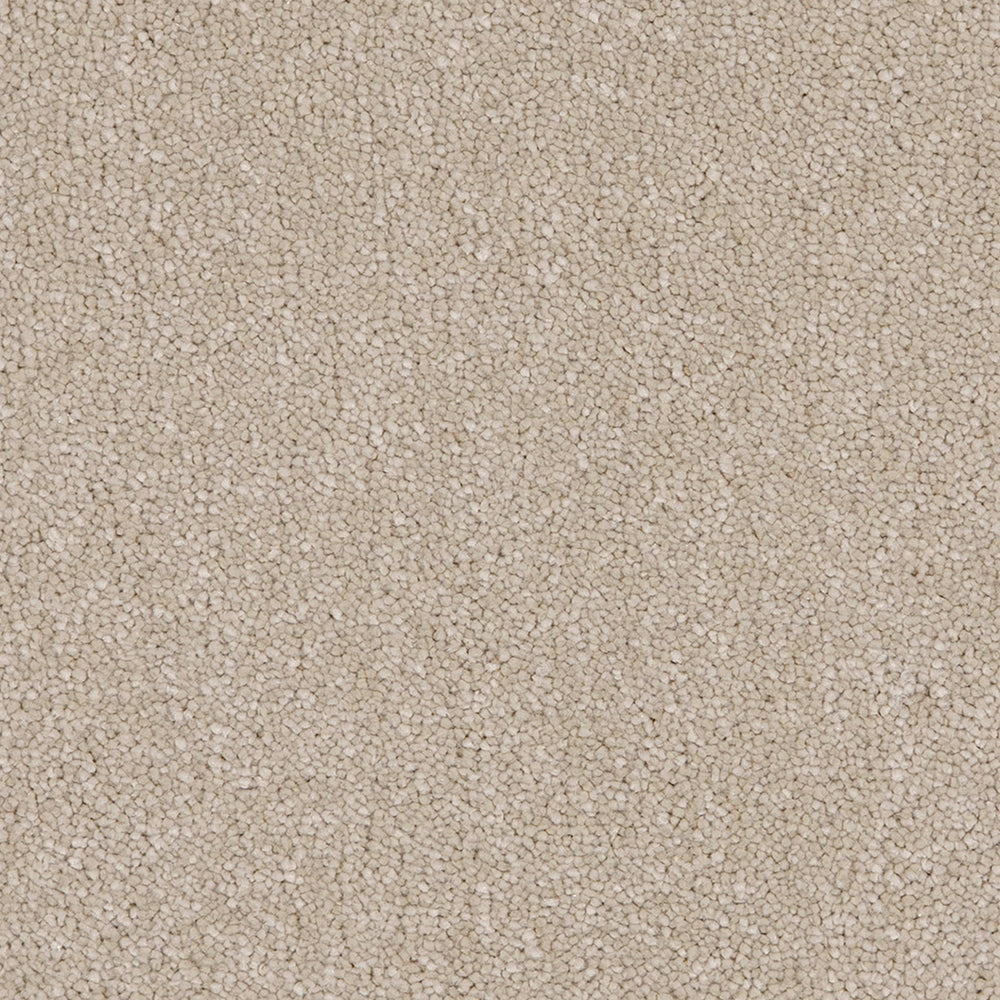 Taurus Hammock 33 Carpet