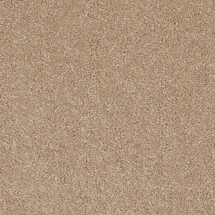 Taurus Sandstone 37 Carpet