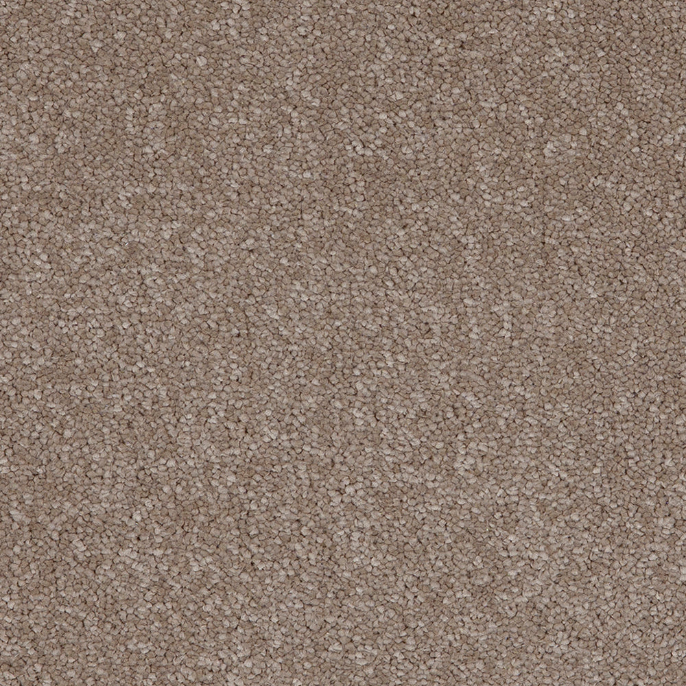 Taurus Fudge 39 Carpet
