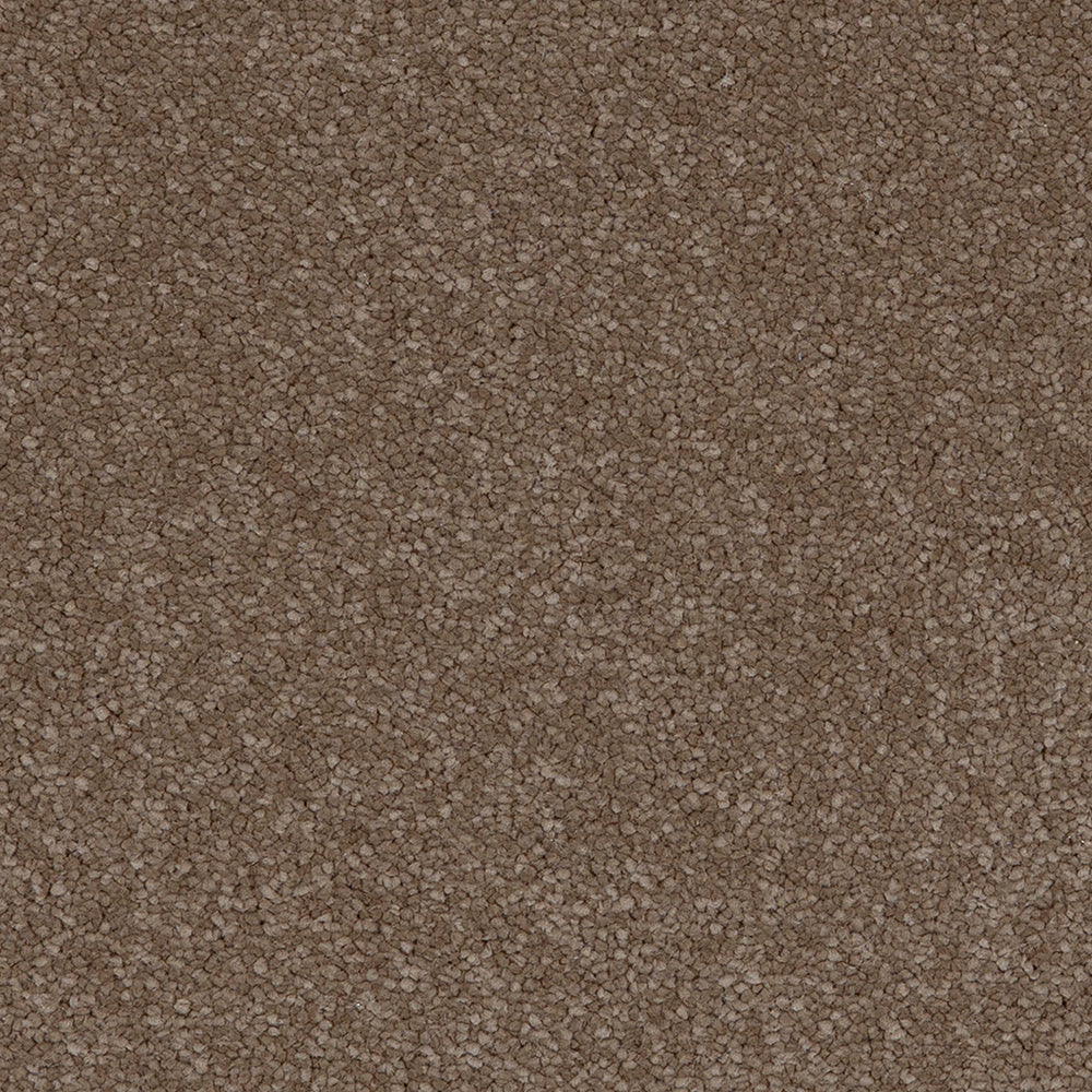 Taurus Moleskin 40 Carpet