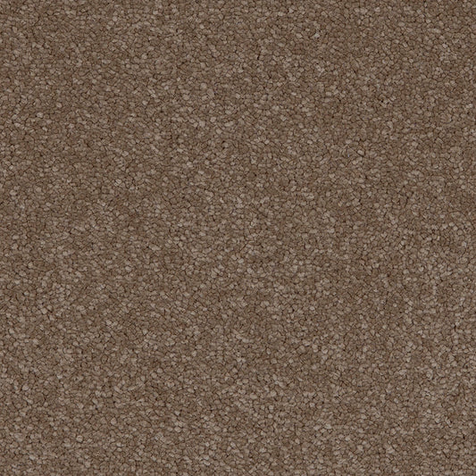 Taurus Moleskin 40 Carpet