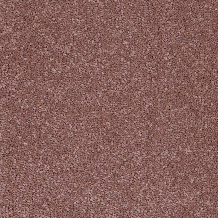 Taurus Blush 86 Carpet