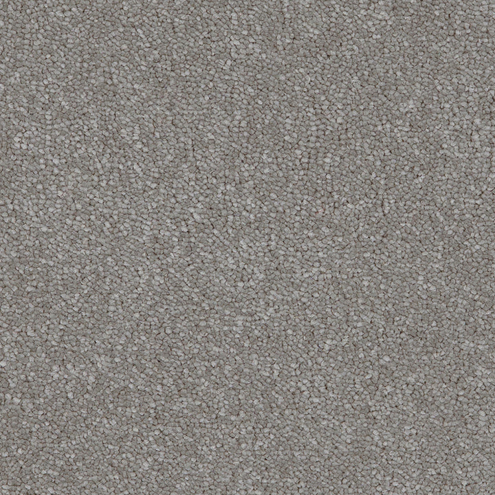 Taurus Steel 95 Carpet