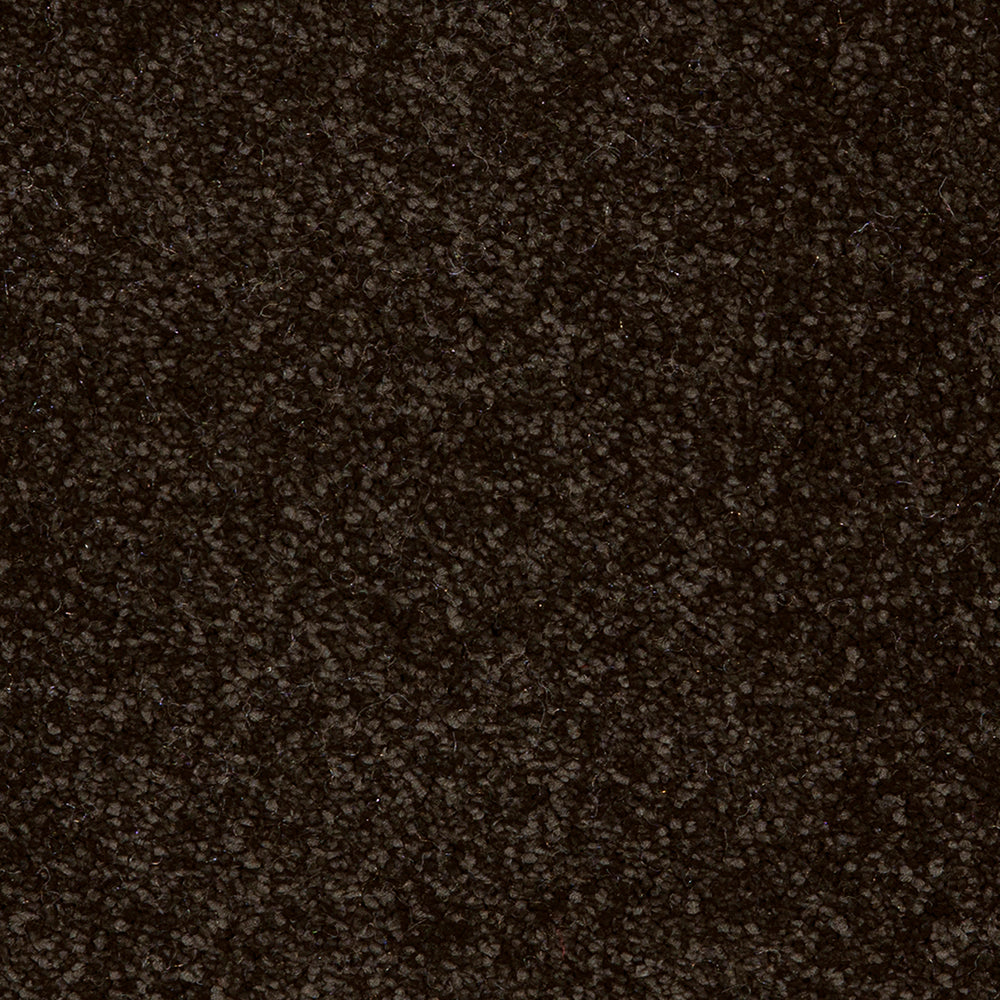 Taurus Jet Black 99 Carpet