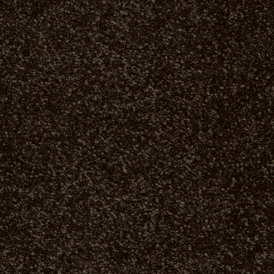 Taurus Jet Black 99 Carpet