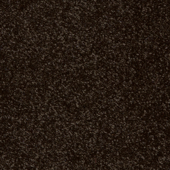Taurus Jet Black 99 Carpet