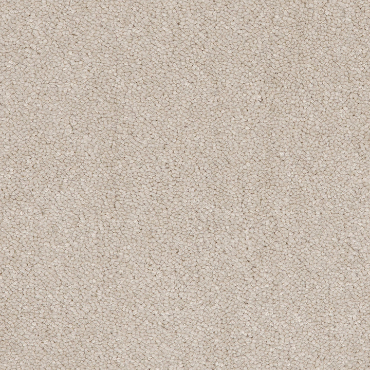 Aries Cotton 09 Carpet