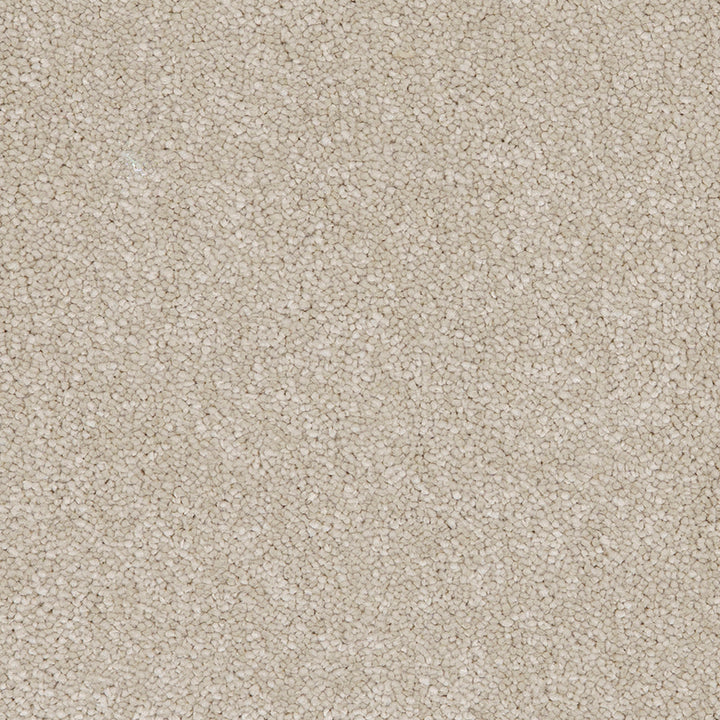 Aries Hammock 33 Carpet