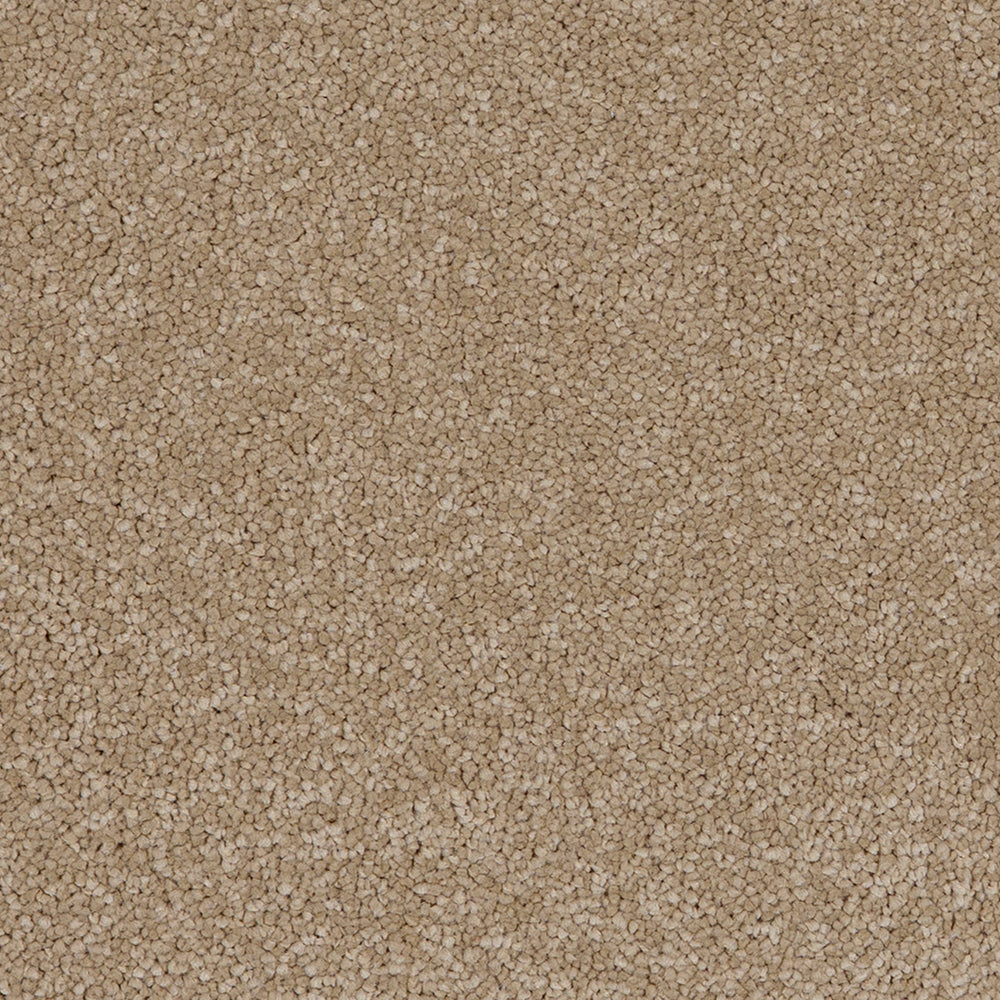 Aries Sandstone 37 Carpet