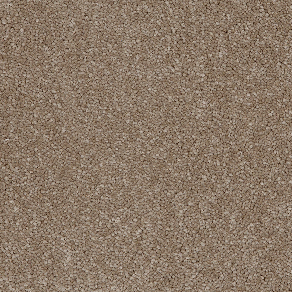 Aries Fudge 39 Carpet