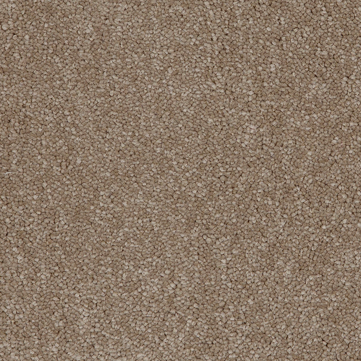 Aries Fudge 39 Carpet