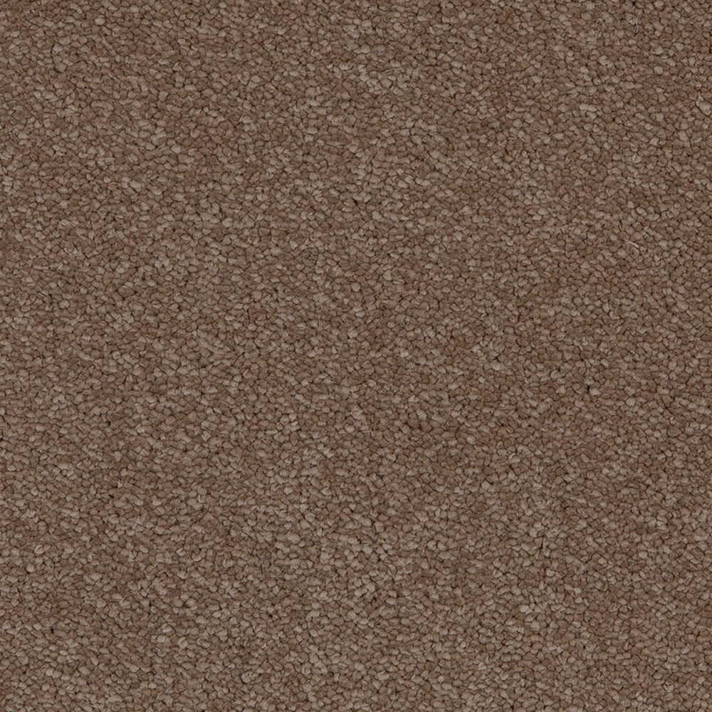 Aries Moleskin 40 Carpet
