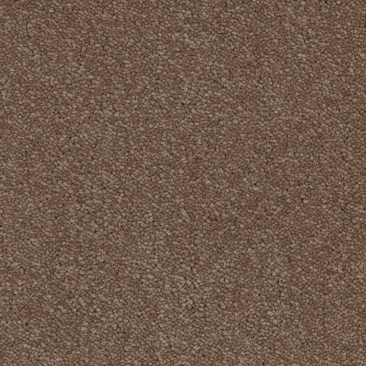 Aries Moleskin 40 Carpet
