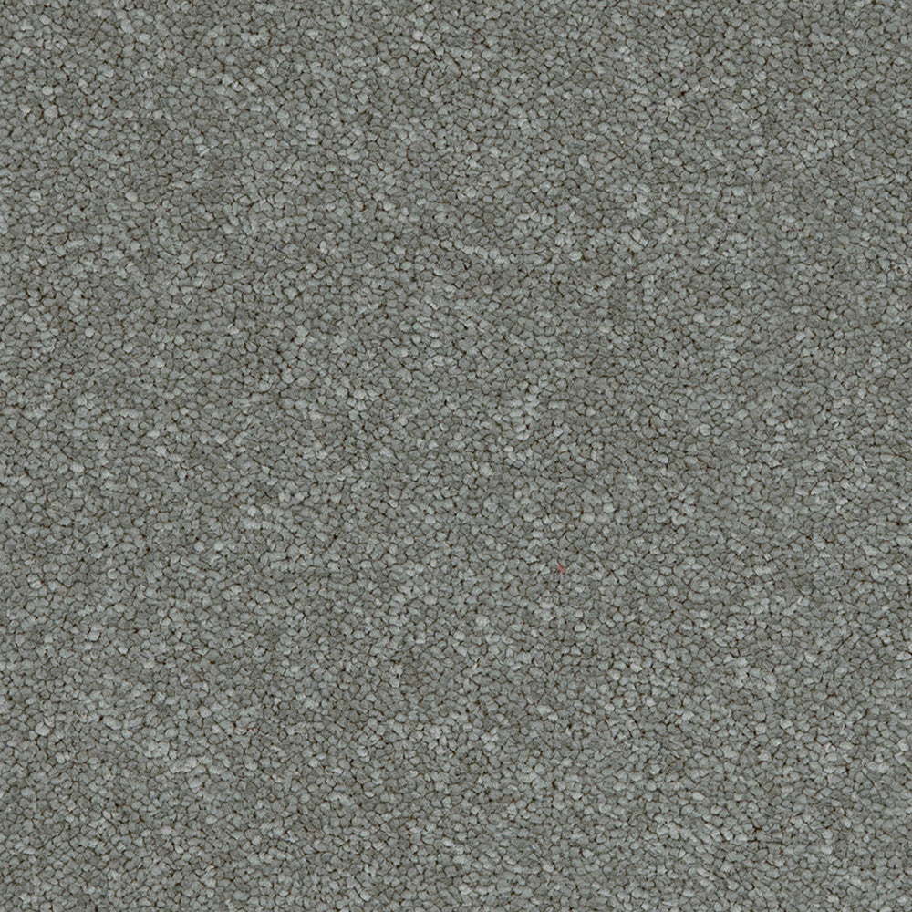 Aries Steel 95 Carpet