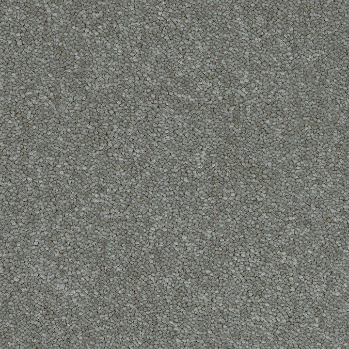 Aries Steel 95 Carpet