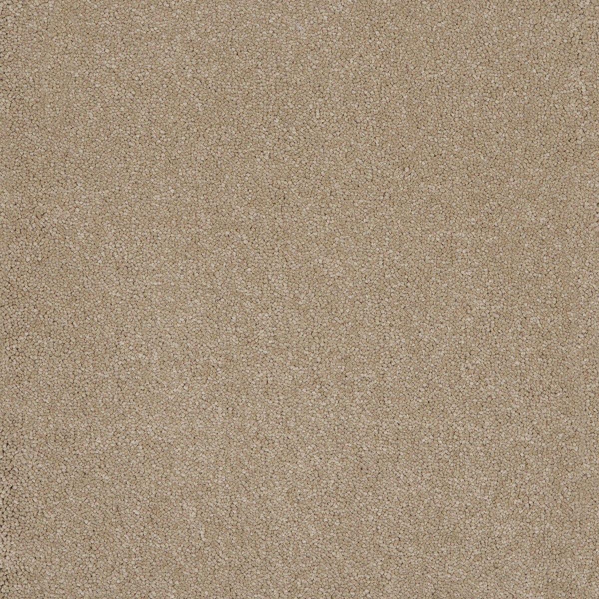 Aquarius Sandstone 37 Carpet