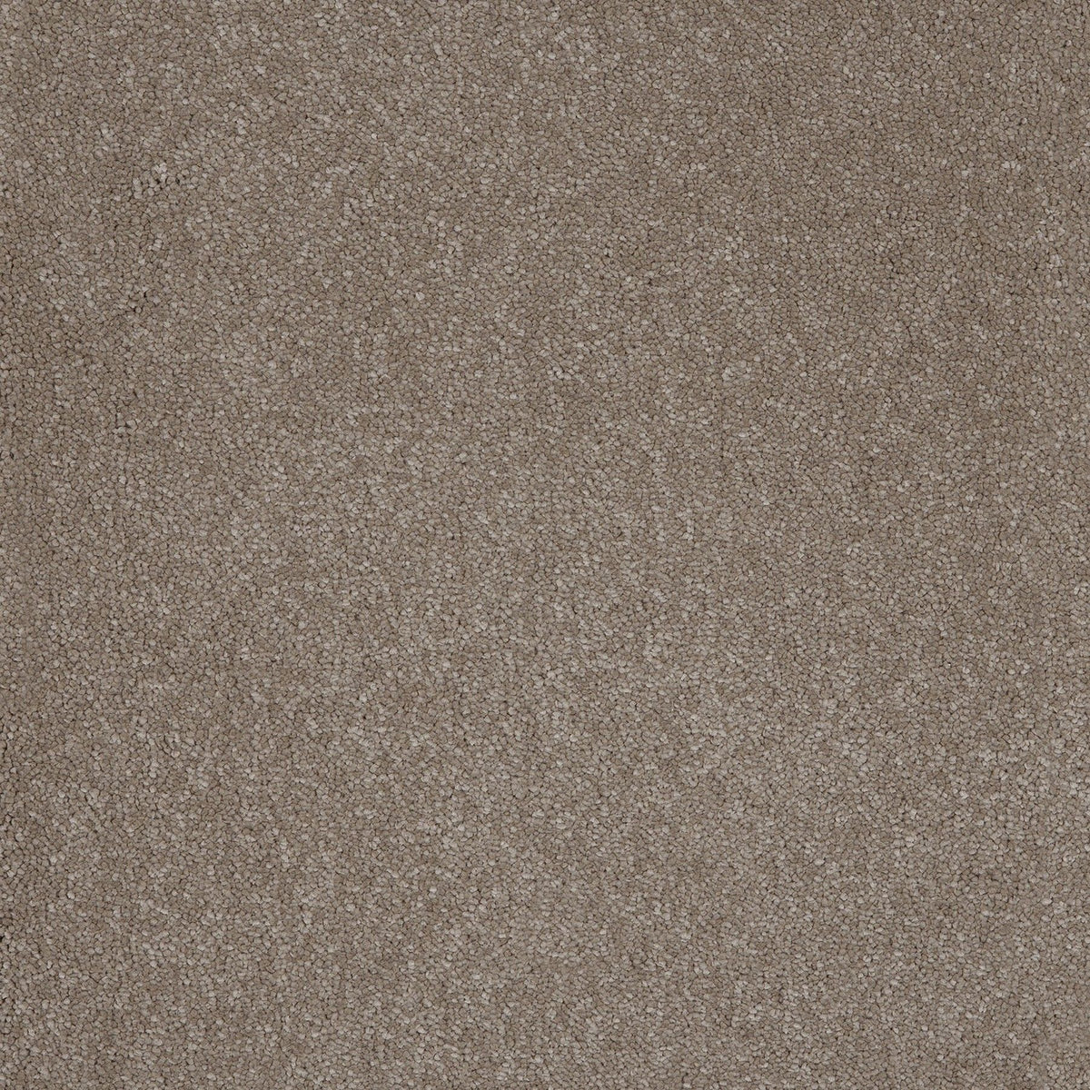 Aquarius Fudge 39 Carpet