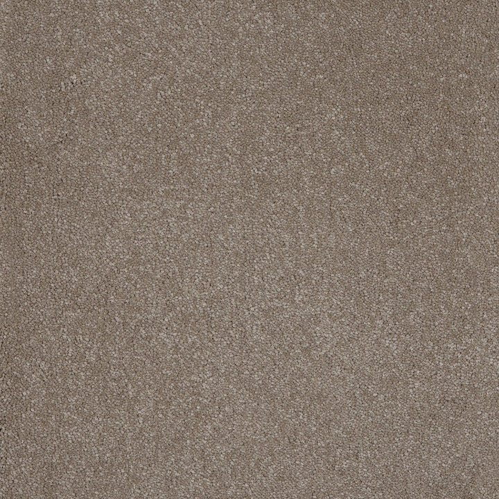 Aquarius Fudge 39 Carpet