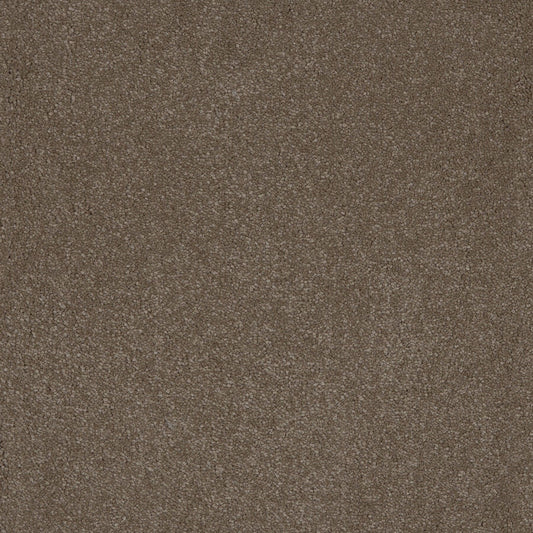 Aquarius Moleskin 40 Carpet