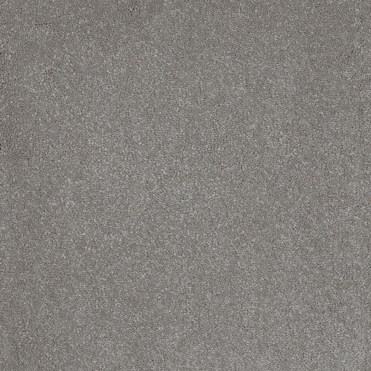 Aquarius Steel 95 Carpet