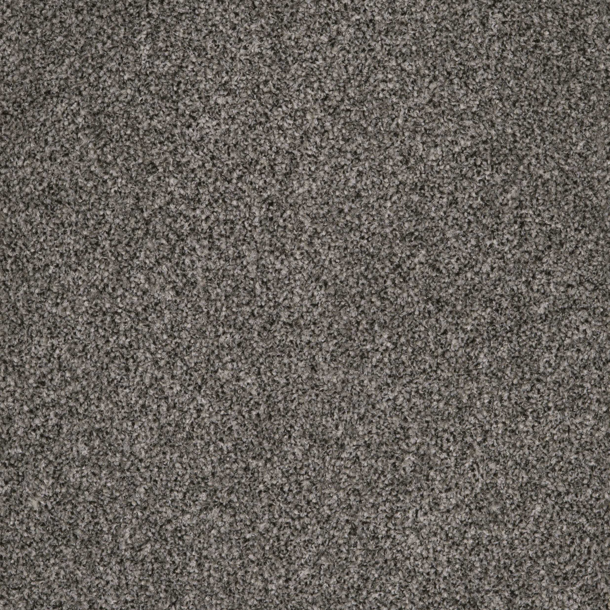 Coniston Manor House 09 Carpet