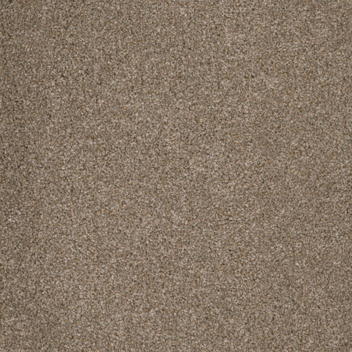 Coniston Shoreline 37 Carpet