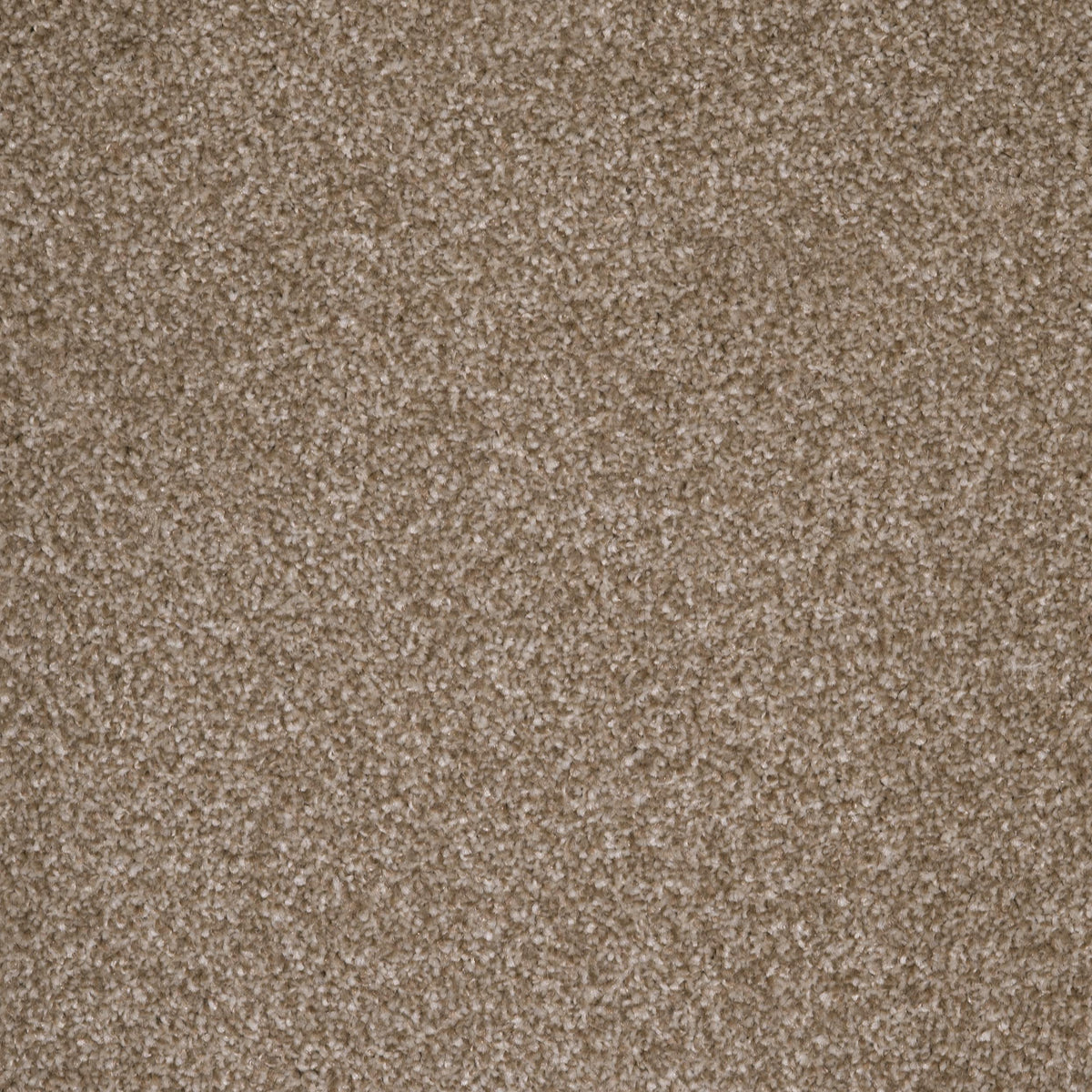 Coniston Biscuit 38 Carpet