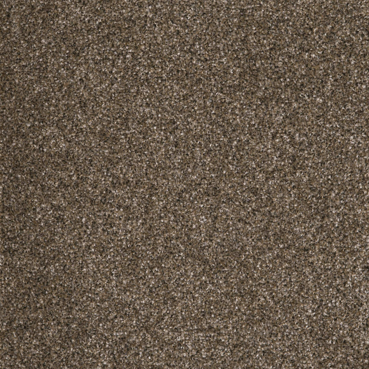 Coniston Basalt 49 Carpet