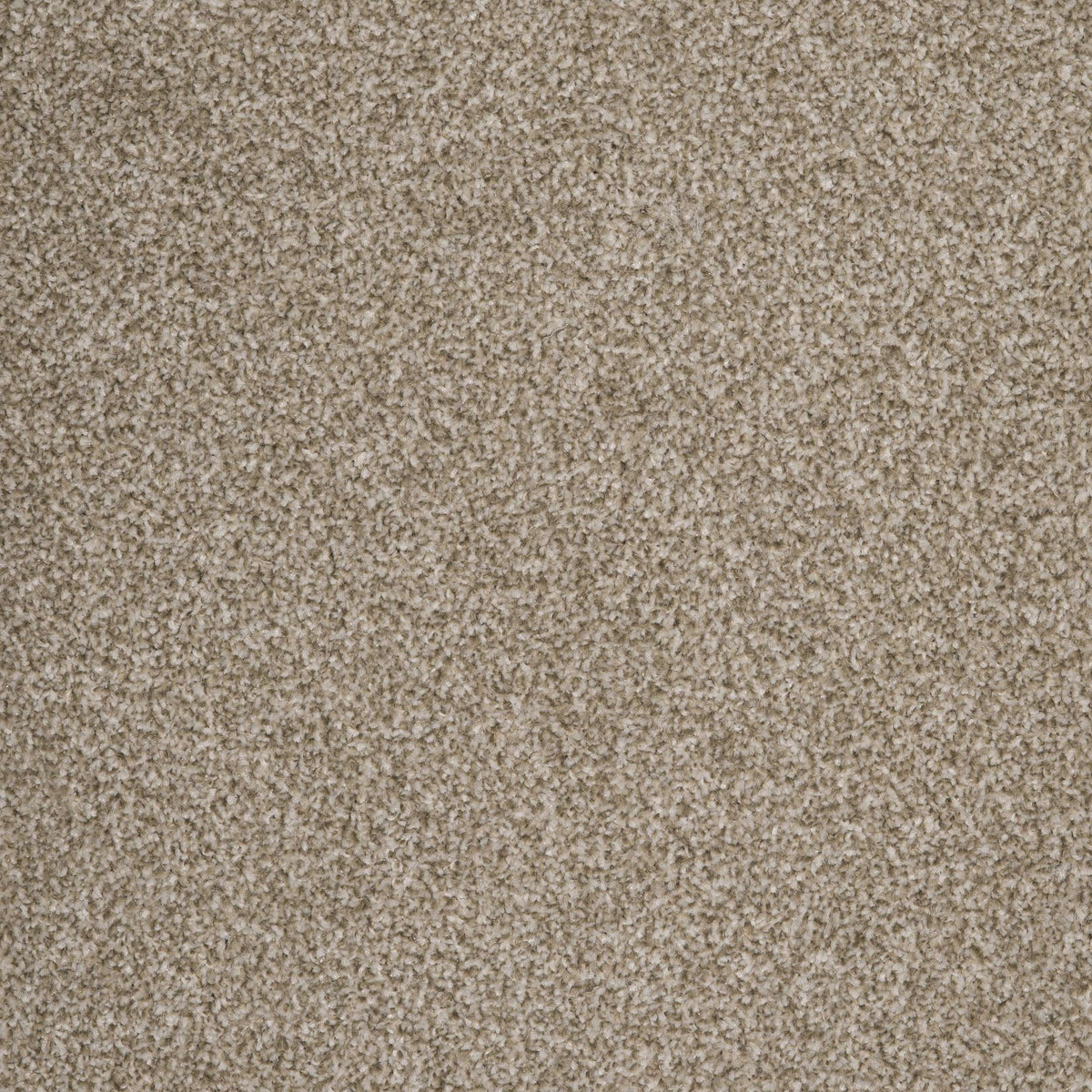 Coniston Cocoon Beige 91 Carpet