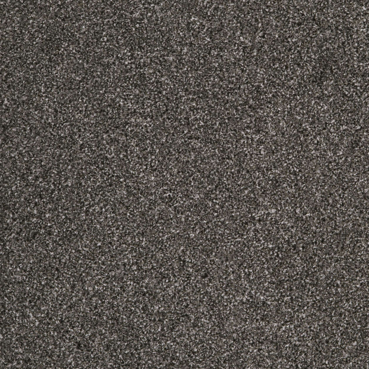 Coniston Charcoal 98 Carpet