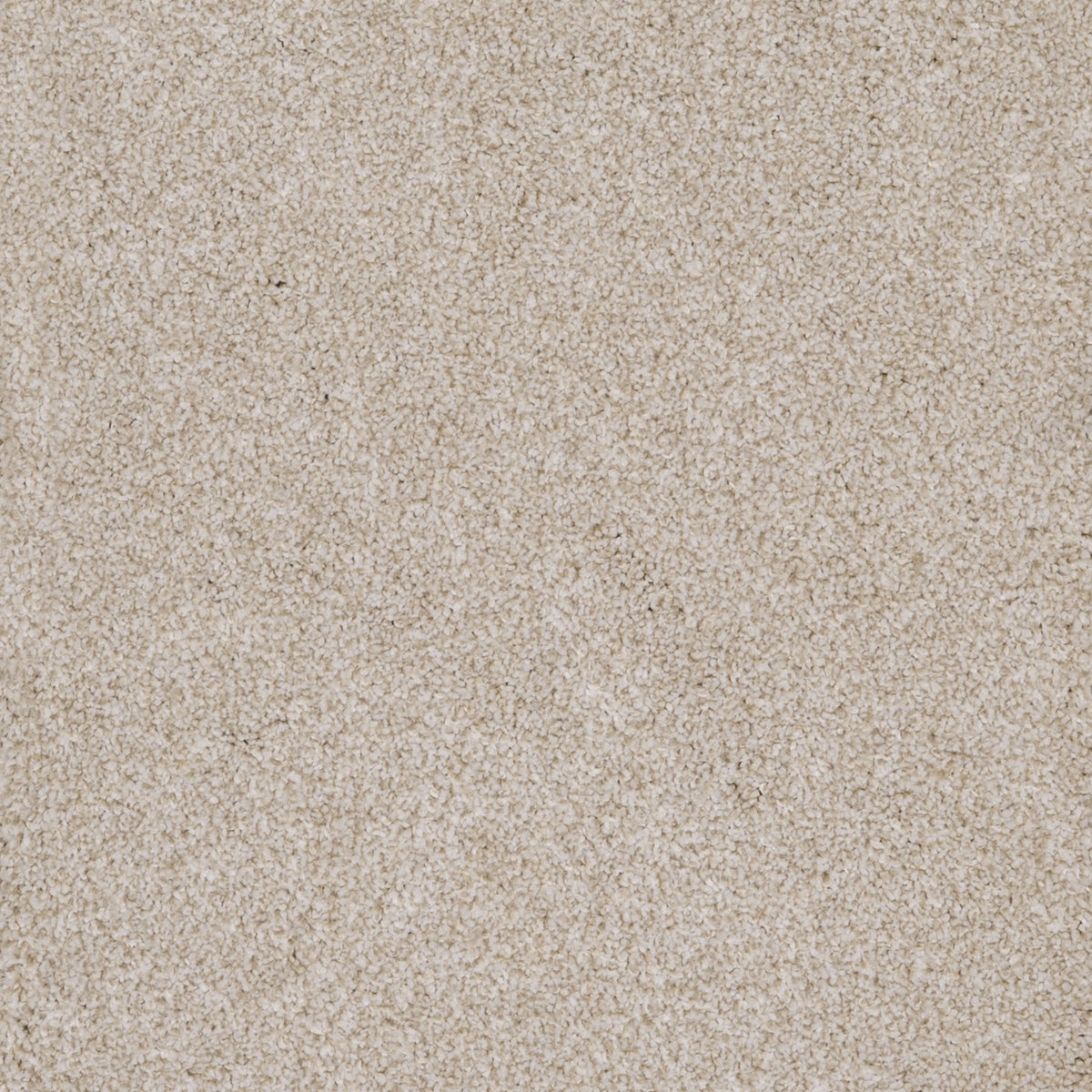 Harrogate Cotton 03 Carpet
