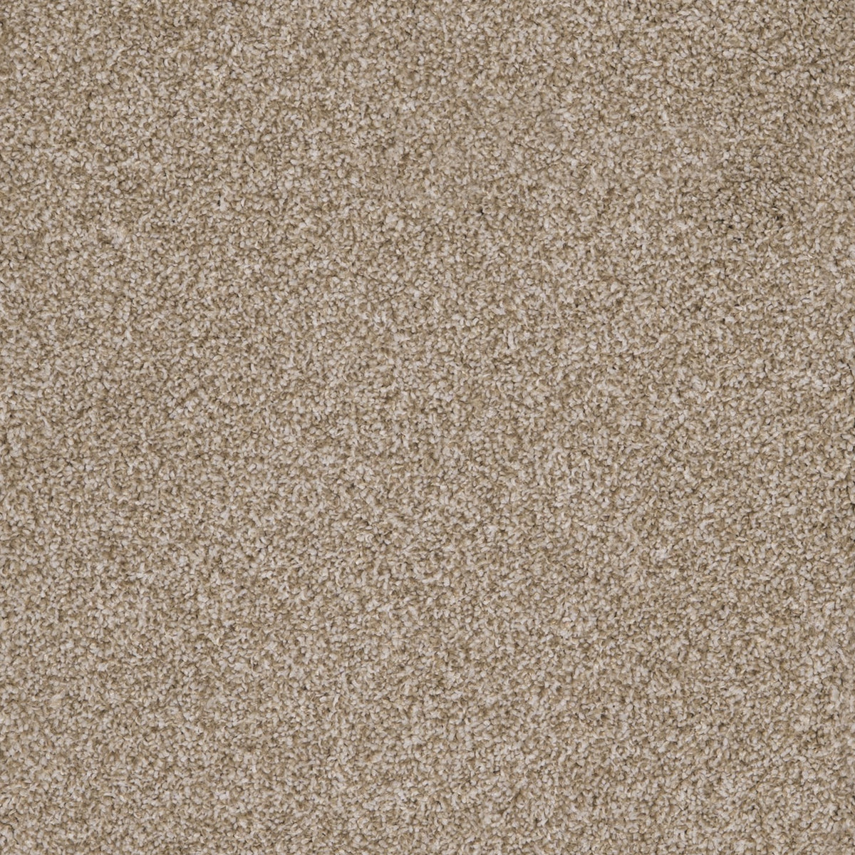 Harrogate Autumn Mist 04 Carpet