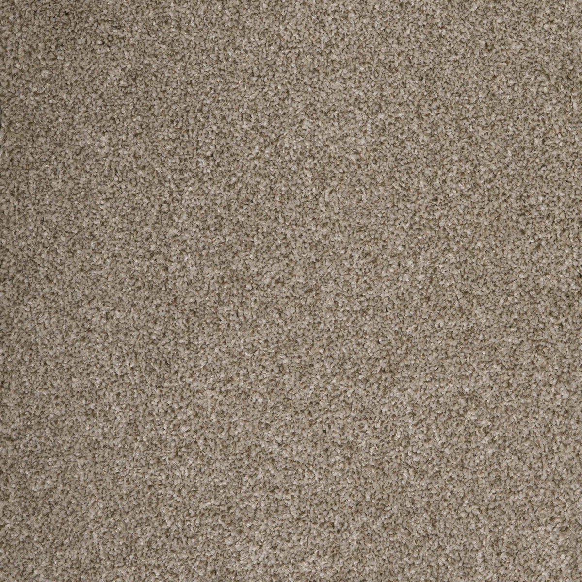 Harrogate Stone 08 Carpet