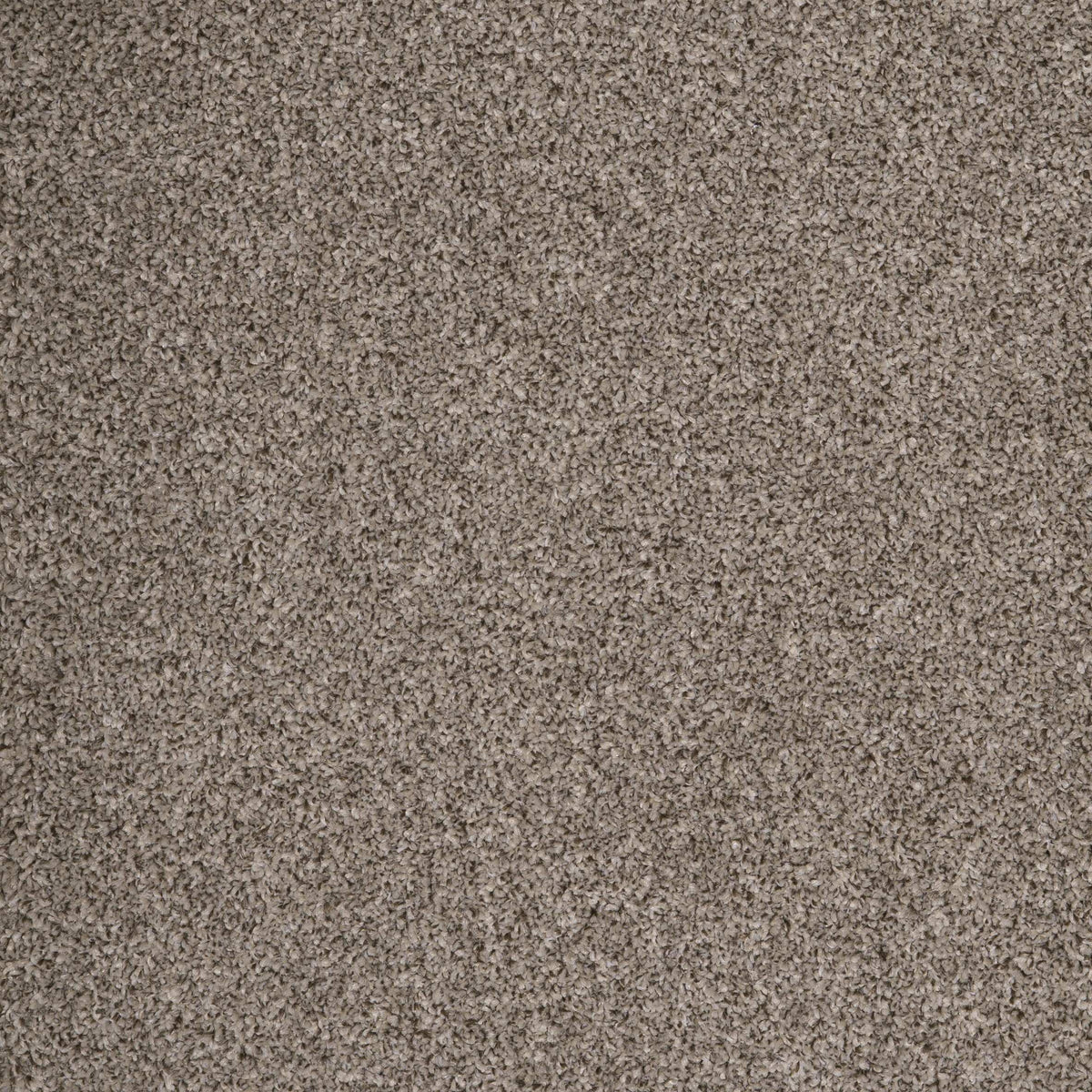 Harrogate Manor House 09 Carpet