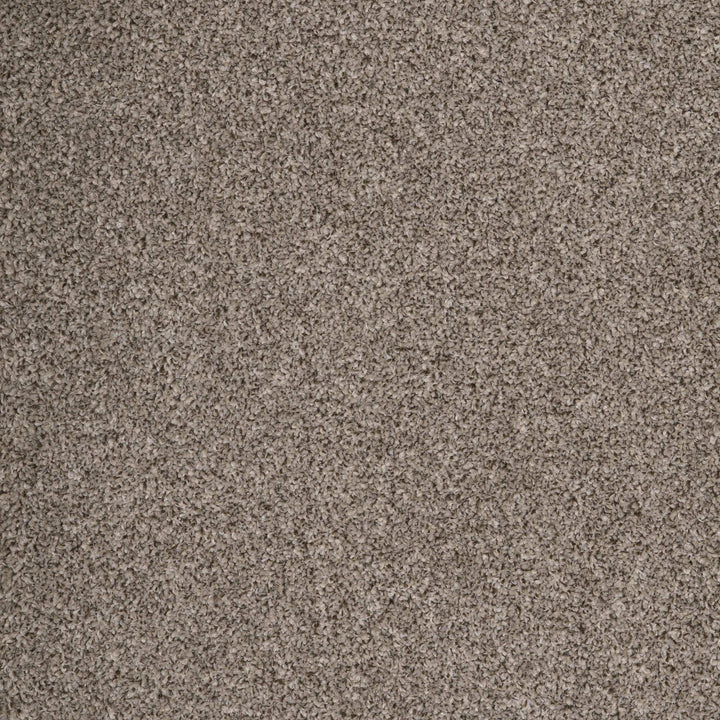 Harrogate Manor House 09 Carpet