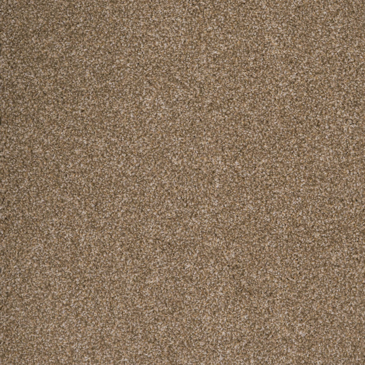 Harrogate Pebble 35 Carpet